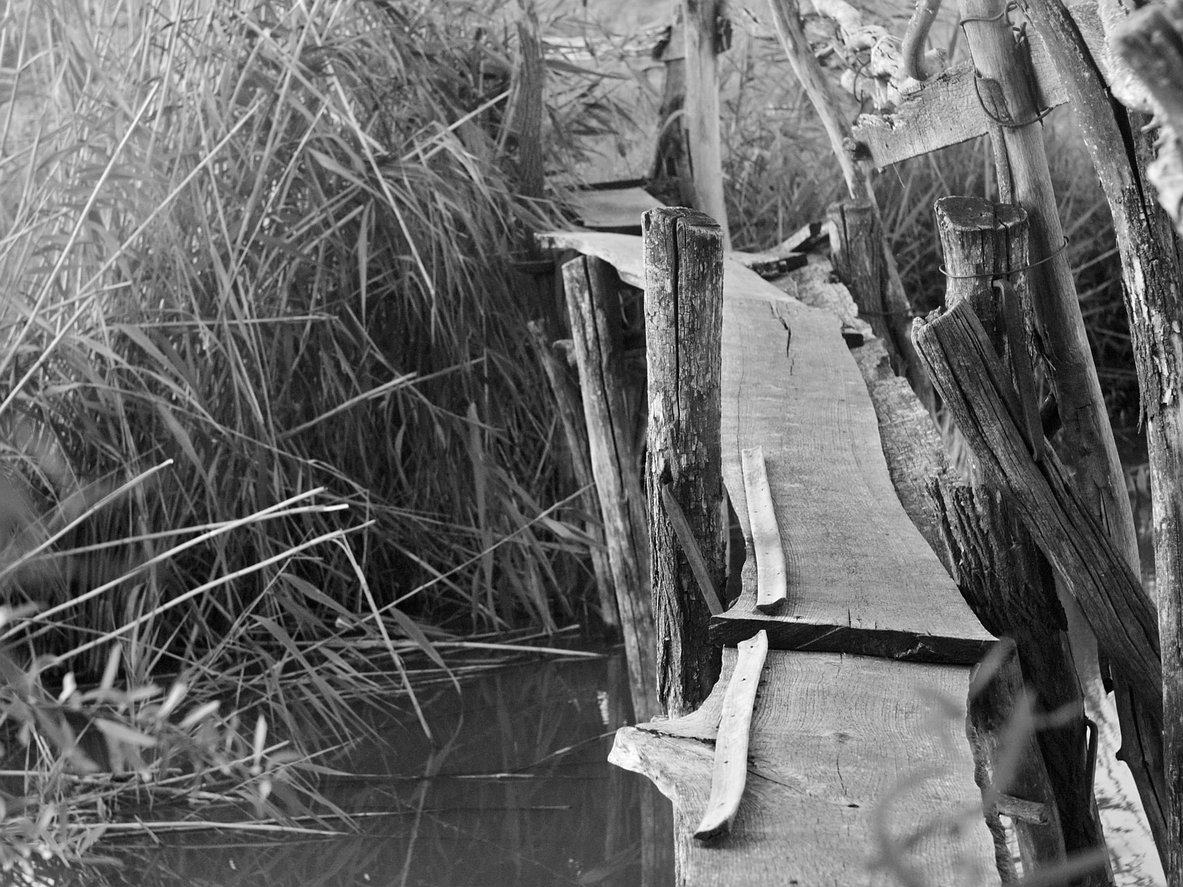 Old wooden footbridge