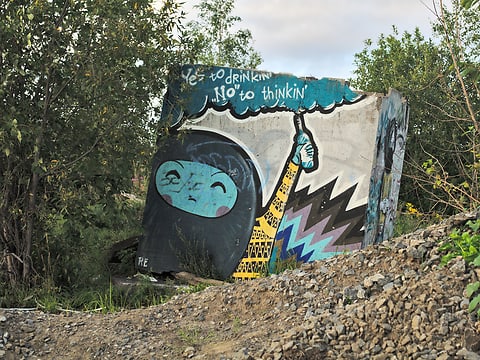 «Yes to drinkin', no to thinkin'»