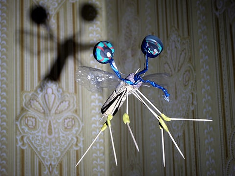 Unidentified flying subject